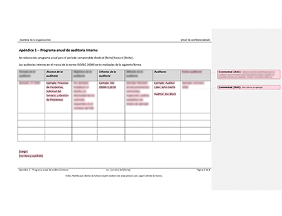 Programa anual de auditoria interna (ISO 20000) - 20000Academy